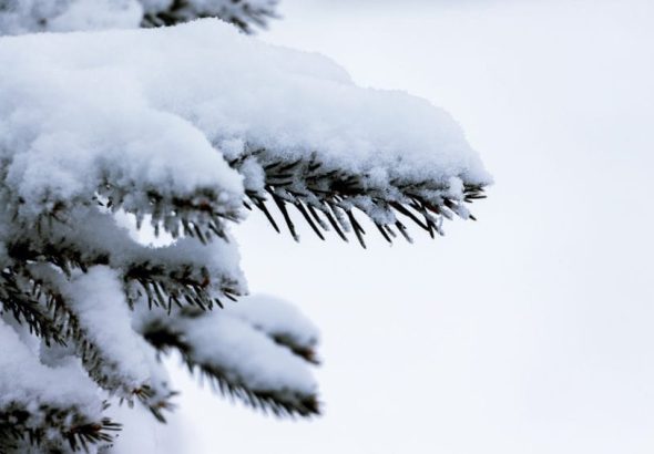 485864685_1164145082164367_5692037328512218549_n