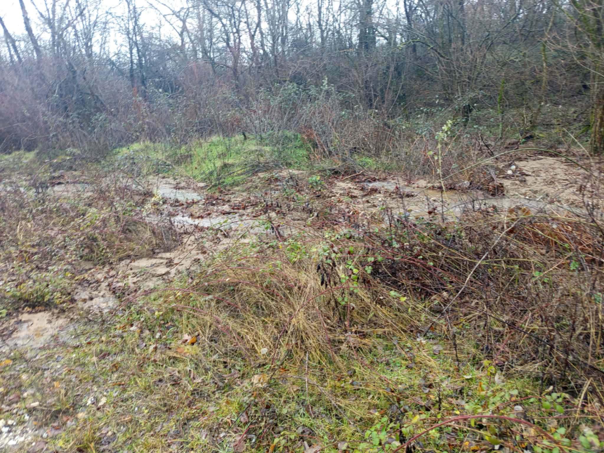 d83cfb80-324a-49e3-a7af-7647c25f4aae