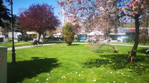 671266338_1469858814926324_224890819822224065_n