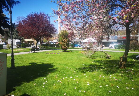 671266338_1469858814926324_224890819822224065_n