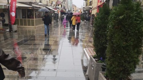 674627917_1474569857788553_3441679774700512879_n