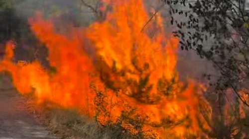 befunky_2025-6-3_20-2-40