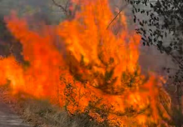 befunky_2025-6-3_20-2-40