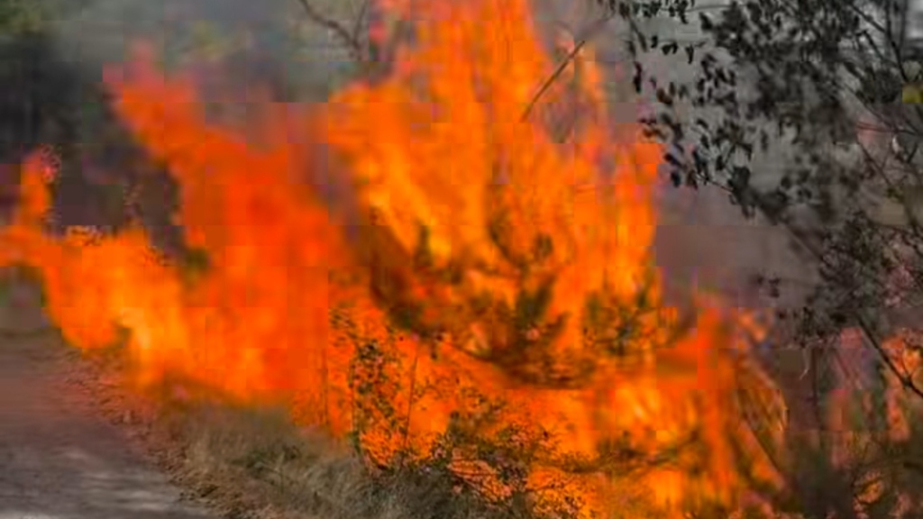 befunky_2025-6-3_20-2-40