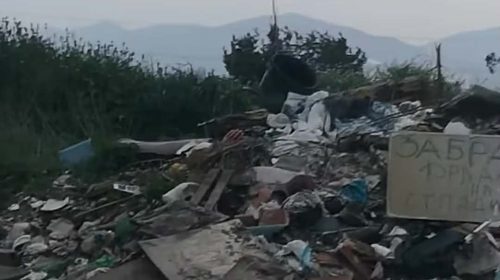 cc5b8c9e-792a-4072-9b8d-93a56fbc4464